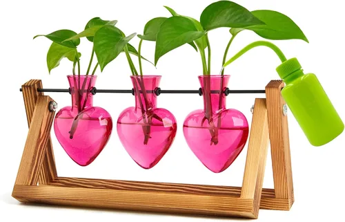 XXXFLOWER Estaciones de propagación de terrarios de plantas, regalos únicos para mujeres, esposa, mamá, amantes de las plantas, 3 jarrones en forma