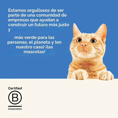 Miniatura 6 de Applaws - Comida húmeda enlatada natural para gatos, ingredientes limitados y naturales, alto contenido en proteínas sin aditivos artificiales