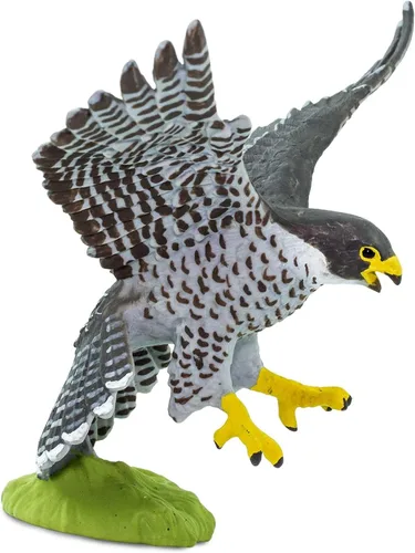 Miniatura 7 de Safari Ltd. Figura de halcón peregrino, figura detallada de plástico de 3.75 pulgadas, divertido juguete educativo para niños, niñas y niños a