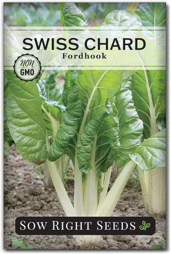 Sow Right Seeds - Semilla de acelga Fordhook para plantar - Paquete de reliquia sin OMG con instrucciones para plantar y cultivar un huerto
