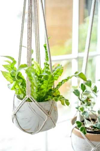 Miniatura 4 de Dahey Juego de 3 colgadores de macramé para plantas con ganchos, cesta colgante de interior de 35/29/23 pulgadas hecha a mano con cuerda de algodón