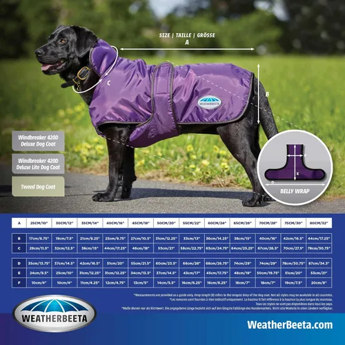 Miniatura 7 de Anorak Weatherbeeta Comfitec reflectante 300D, abrigo para perro Deluxe Lite Orange