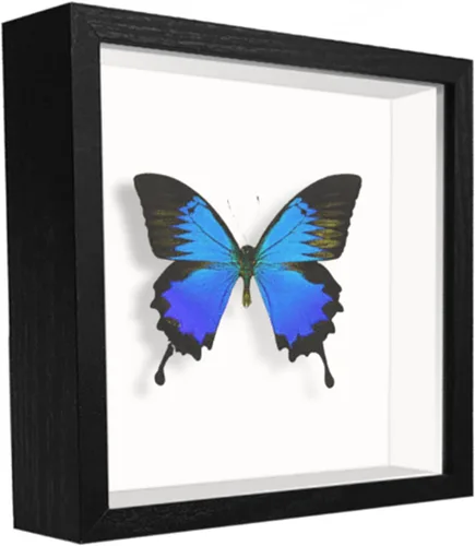 Miniatura 40 de Caja expositora de 8 x 8 pulgadas con calcomanías de letras, vitrina para recuerdos, artículos de bebé, recuerdos de boda, manualidades, boletos