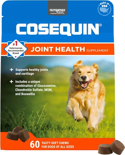 Nutramax Laboratories Cosequin DS Plus MSM Professional Line para perros, 60 masticables suaves