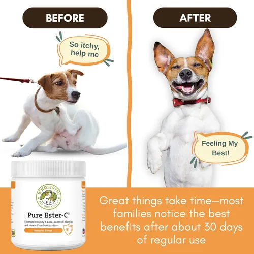 Miniatura 3 de Wholistic Pet Organics Suplemento de vitamina C para la piel y el pelaje de los perros - 1 oz - Medicamento para el alivio de la alergia del perro