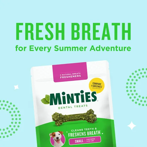 Miniatura 9 de Minties Golosinas dentales en hueso para perros, Golosinas dentales pequeñas para perros, 5-25 libras, Limpian dientes, Combaten el mal aliento
