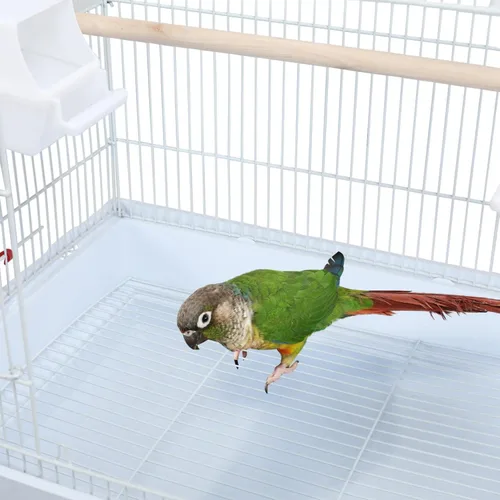 Miniatura 8 de Yaheetech Jaula para pájaros de 41" de tamaño mediano con parte superior abierta, para periquitos, cacatúas, loros con cuello de anillo indio, Blanco