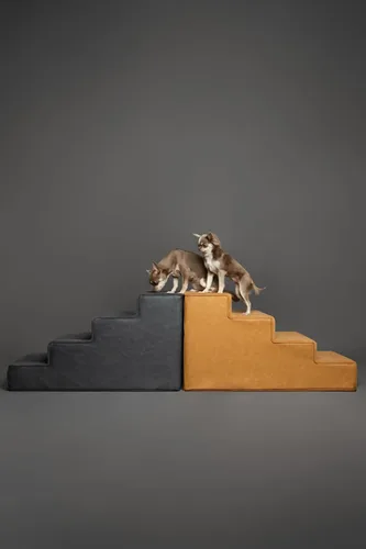 Miniatura 8 de Noah & Paw Escaleras para Perros, Rampa para Perros para Cama (17" Extra Ancha) Escaleras para Mascotas para Cama Alta, Diseñadas para Razas