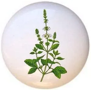 Miniatura 10 de Hierbas Especias Cocina Cocina Cocinar Hornear Hornear Decorativo Cerámica Cajón Tiradores Armario Perillas (pimienta de Jamaica)