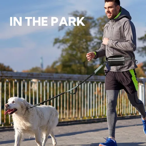 Miniatura 7 de Correa de perro manos libres con bolsa, correa elástica retráctil con dobles asas acolchadas, correas de perro con elástico para cachorros medianos