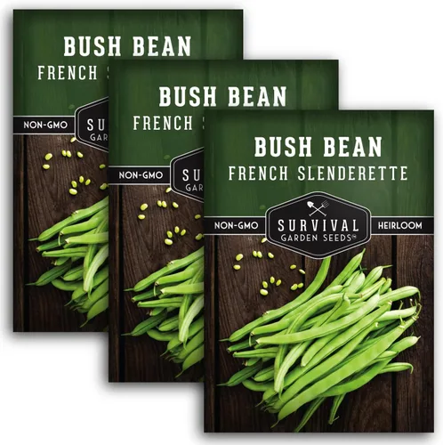 Miniatura 11 de 1 paquete de semillas de frijol francés Slenderette Bush para plantar con instrucciones para cultivar verts de haricots en tu huerto casero