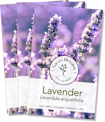 Miniatura 8 de Gaea's Blessing Semillas – Semillas de lavanda inglesa – Semillas tradicionales sin OMG con instrucciones fáciles de seguir – Vera True Lavender