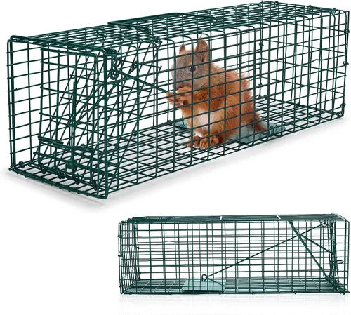 Miniatura 8 de Qualirey 1 trampa para ardillas humanitarias, resistente para animales vivos, captura y liberación, trampa para ratas para animales pequeños al aire