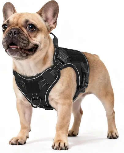 Miniatura 45 de rabbitgoo - Arnés táctico para perros pequeños, arnés resistente para mascotas con asa, chaleco de servicio sin tirones para razas pequeñas, chaleco
