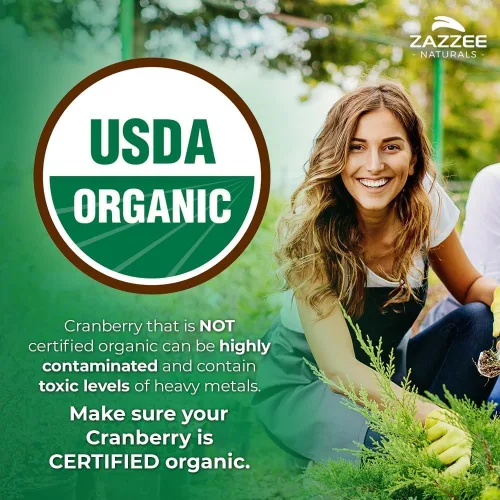 Miniatura 2 de Zazzee Extracto de arándano orgánico USDA 25:1, 500 mg por cápsula, 60 cápsulas veganas, suministro de 2 meses, extracto concentrado estandarizado