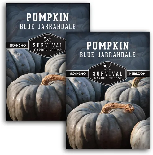 Miniatura 10 de Blue Jarrahdale - Semillas de calabaza para plantar Variedad de reliquia sin OMG con piel decorativa azul-gris y carne dulce para hornear