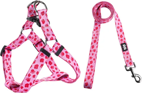 Miniatura 21 de QQPETS Juego de correa de arnés para perro, ajustable, resistente, sin tirones, arnés halter para perros de razas pequeñas, medianas y grandes, clip