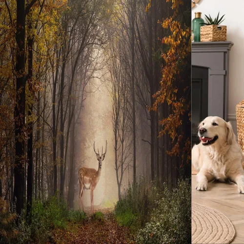 Miniatura 17 de Película de vidrio esmerilado de pino para ventana, bosque de coníferas silvestres en la mañana, siluetas de árbol de niebla para decoración