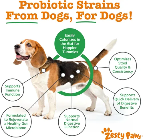 Miniatura 3 de Zesty Paws Probiótico canino nativo, para diarrea ocasional + salud digestiva, flora intestinal y apoyo del sistema inmunológico, probióticos