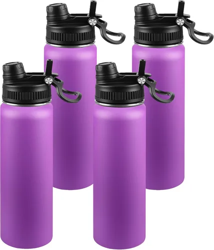 Miniatura 87 de Botella de agua aislada de 22 onzas, tapa 2 en 1 a prueba de fugas (sorbo/pajilla) + asa, botella de acero inoxidable para deportes, viajes, trabajo