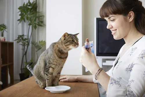 Miniatura 5 de INABA USA504 Ciao - Golosina para gatos a la parrilla con vitamina E añadida, talla única/0.5 onzas