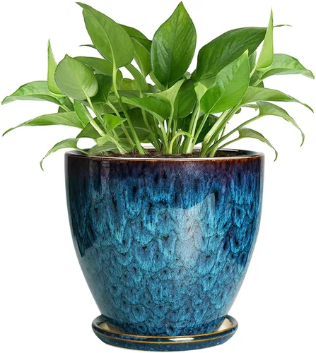 Miniatura 25 de Maceta para Plantas de 6.8 Pulgadas - Maceta de Cerámica con Orificio de Drenaje y Platillo, Maceta Redonda Moderna para Flores, Macetas