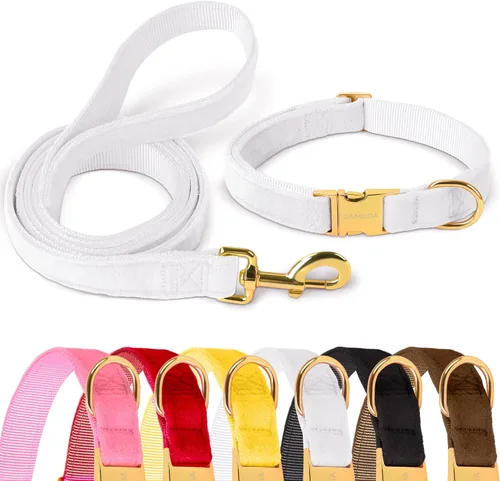 Miniatura 9 de GAMUDA Collar y correa de terciopelo para perro, súper suave y liso, hebilla dorada resistente, cómodo y fácil de limpiar, collar ajustable para Rojo
