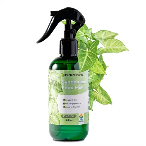 Syngonium - Niebla alimentaria de Perfect Plants | Spray líquido foliar para plantas de punta de flecha y otras plantas de interior | Mezcla