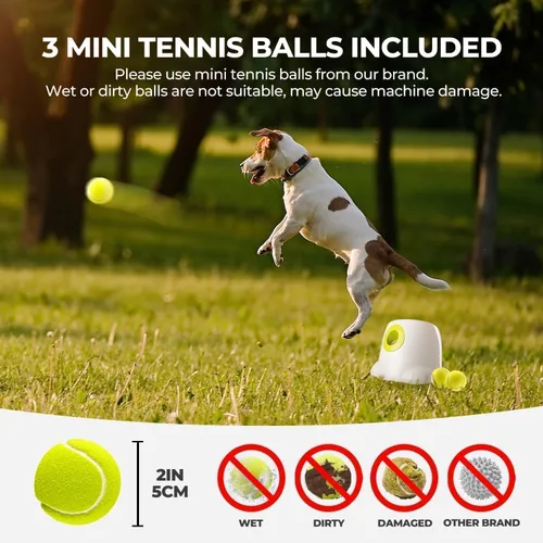 Miniatura 4 de ALL FOR PAWS Lanzador automático de bolas para perros, máquina interactiva para mascotas, lanzador de bolas para interiores, 3 bolas incluidas