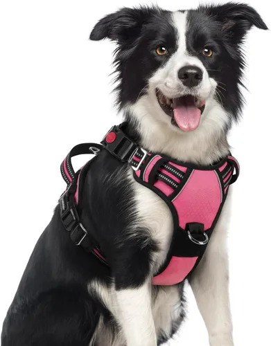 Miniatura 52 de rabbitgoo Arnés para perro de tamaño pequeño, chaleco para perro sin tirones con 3 hebillas, arnés ajustable y acolchado suave para mascotas con asa