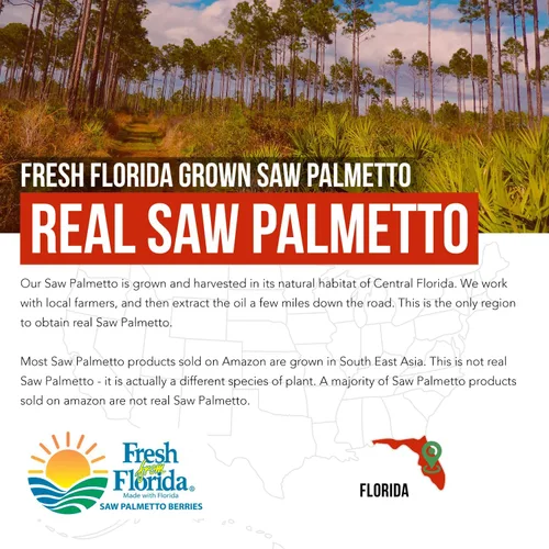 Miniatura 6 de Extracto de Saw Palmetto – Potencia 10X, Fuerza de Grado Farmacéutico – Más Aceite de Semilla de Calabaza – Apoya la Salud de la Próstata, Alivia