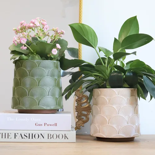 Miniatura 5 de GUGUGO Maceta de Escamas Beige Perla, Maceta de Plantas Única y Bonita con Drenaje, Macetas Pequeñas Eclécticas y Coloridas para Flores para Plantas