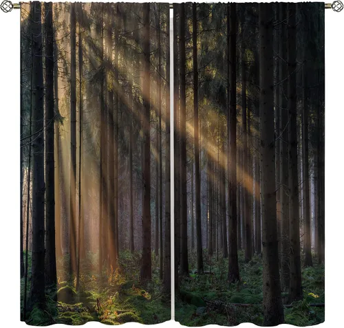 Cortinas de bosque, árboles altos rectos, encantadores paisajes con temática de la naturaleza, cortinas opacas decorativas, para dormitorio, sala de