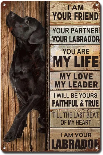 Miniatura 28 de Lygond Letrero de metal con texto en inglés "I Am Your Friend", regalo para amantes de Doberman, amantes de los perros, impresiones artísticas