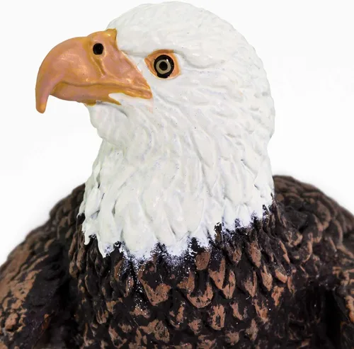 Miniatura 7 de Safari Ltd. Figura de águila calva - Figura de ave realista de 6 cm - Juguete educativo para niños, niñas y niños de 3 años en adelante