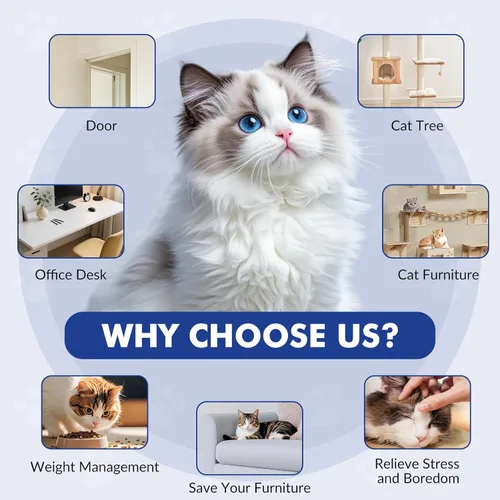 Miniatura 5 de Wortade Juguetes Interactivos para Gatos de Interior, Juguete de Varita con Plumas de Pájaro Volador Eléctrico Automático, Mejor Juguete