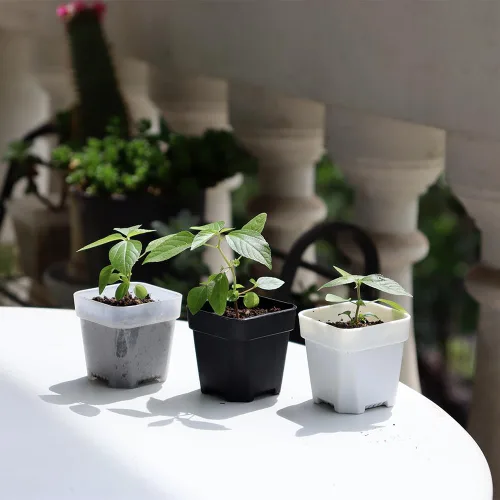 Miniatura 9 de Paquete de 200 macetas cuadradas de plástico negro de 1.95 pulgadas para vivero y plántulas, mini maceta de trasplante con orificio de drenaje