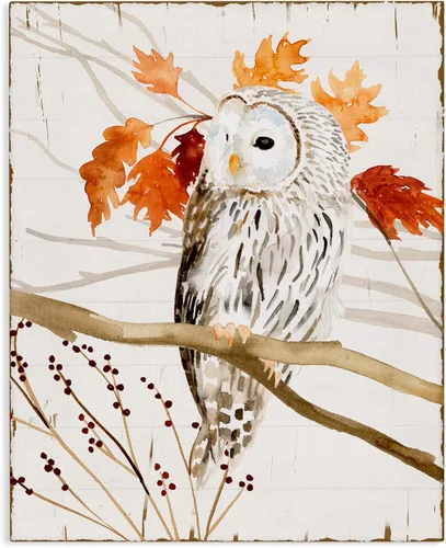 Stupell Industries Victoria Borges - Lienzo decorativo con texto en inglés "Owl in Autumnal Forest", 24 x 30 pulgadas, fácil de colgar y resistente,