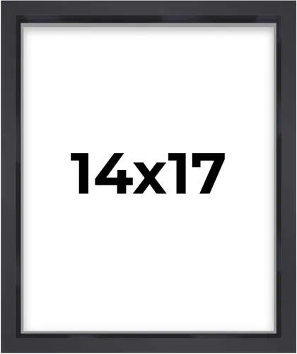Miniatura 58 de Marco contemporáneo de caja de sombra negra de 14 x 25 pulgadas, profundidad de espacio utilizable, tamaño interior 14 x 25 o 25 x 14 pulgadas
