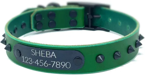 Miniatura 18 de Personalized Spiked Bridle Leather Dog Collar, Engraved Matte Black Metal Nameplate (Mustard Yellow)