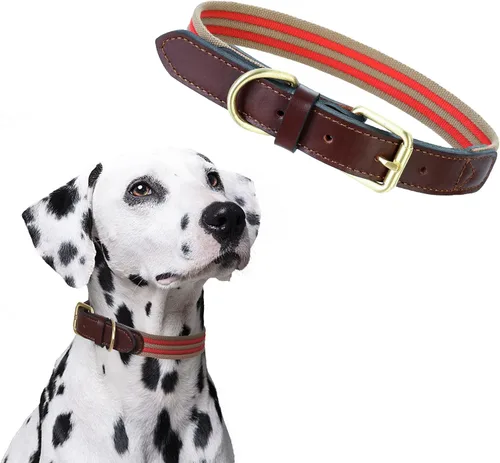 Miniatura 23 de Mile High Life Collares para perros, collares de algodón suave con hebilla de metal pesado, collar clásico para cachorros con puntas de cuero