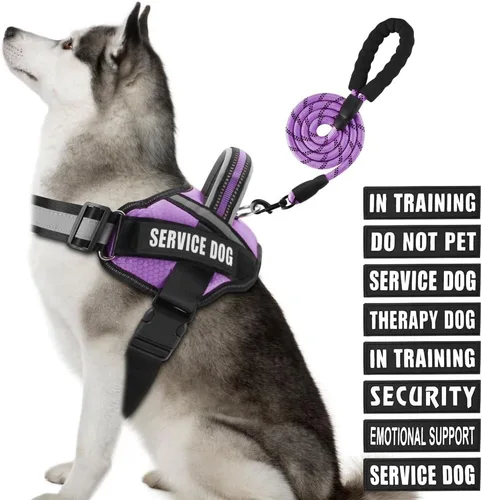 Miniatura 46 de Juego de arnés y correa para perro de servicio, arnés de entrenamiento para perro Animire con 10 parches para perros, correa reflectante para perro