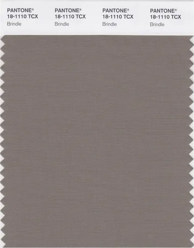 Miniatura 14 de PANTONE Tarjeta de muestra de color inteligente 18-1314X, bellota