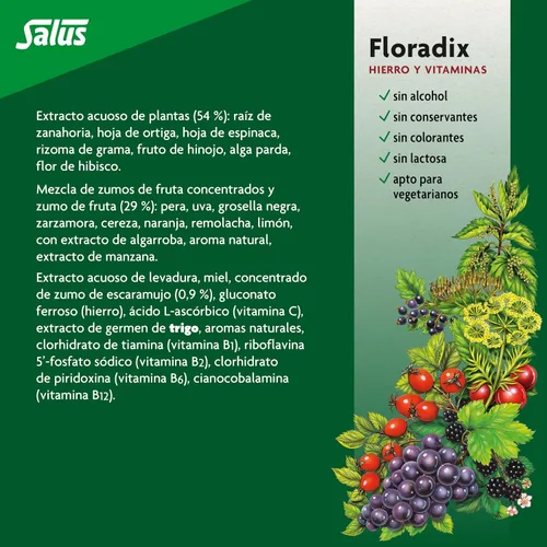 Miniatura 5 de Floradix hierro + hierbas extracto líquido fórmula 17 onzas