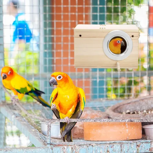 Miniatura 4 de Hiceeden Paquete de 2 cajas nido de periquitos, caja de anidación de pájaros de madera natural, caja de cría de pájaros pequeños para tortolitos