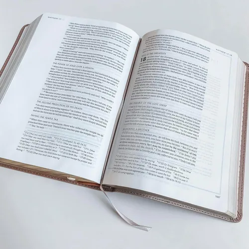 Miniatura 7 de CSB, She Reads Truth Bible, oro rosa, con letras a mano y grabado, grabado de nombre personalizado disponible, regalo personalizado para cumpleaños