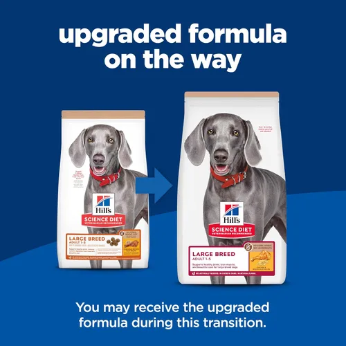 Miniatura 2 de Hill's Science Diet - Alimento seco para perros adultos de raza grande 1-5, proteína de calidad para el apoyo de las articulaciones y músculos