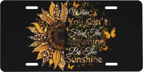 Placa de matrícula frontal Be The Sunshine, placa decorativa de metal de aluminio para automóvil When You Can't Find The Sunshine, cubierta de Sé el