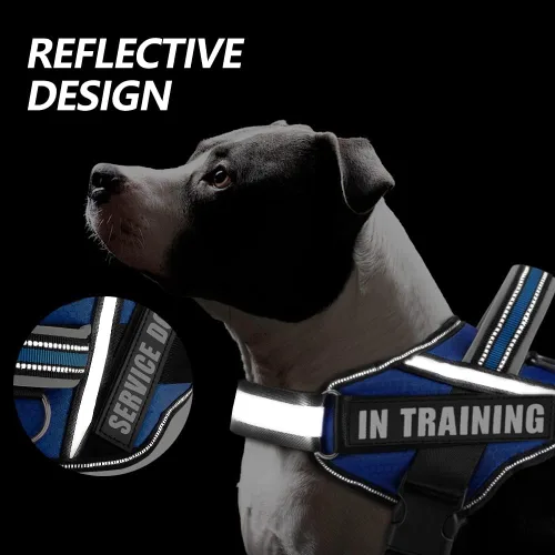 Miniatura 7 de Chaleco con arnés para perro y juego de parches, arnés de perro de servicio en entrenamiento de Animire con 10 parches para perros, chaleco Azul