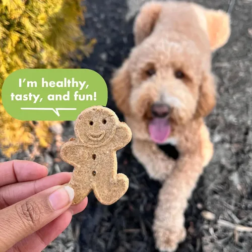 Miniatura 4 de Buddy Biscuits Caja de 14 oz. de galletas crujientes sin granos para perros hechas con pollo natural asado